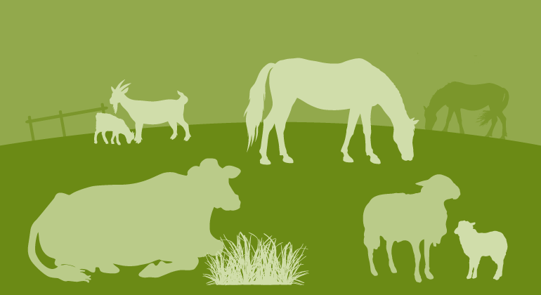 Illustration av kor, hästar, får och getter som betar. 